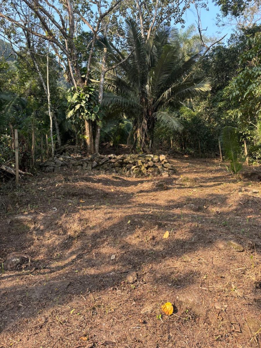 Terreno - Venda - Pontal - Angra dos Reis - RJ