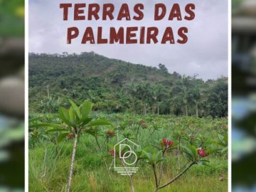  Ch�caras Rural � VENDA em Para�ba do Sul! 